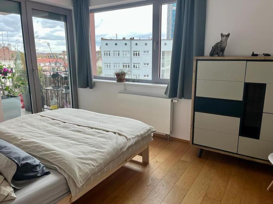 Apartment In Historical Center With Park View Plzeň Eksteriør bilde
